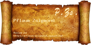 Pflaum Zsigmond névjegykártya